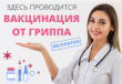 Вакцинация от гриппа