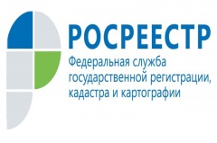 Специалист Кадастровой палаты приняла участие в программе телеканала «Губерния 33»