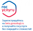 Единый портал госуслуг и «Почта России» помогут сэкономить на штрафах 