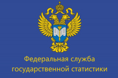 ﻿ВПН: пресс-конференция Владимирстата и администрации Владимирской области