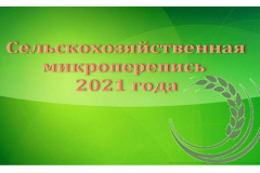 Главные вопросы о Сельско-хозяйственной микропереписи – 2021