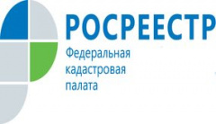 Более 2,2 тыс. заявлений по экстерриториальному принципу поступило в Кадастровую палату за 11 месяцев