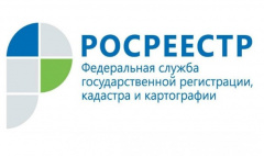 Управление Росреестра по Владимирской области рекомендует заявителям при подаче документов указывать адрес электронной почты и номер контактного телефона