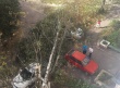 Упало дерево на автомобиль