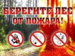 Пожарная безопасность в лесах не терпит беспечности!