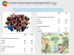 Занятость и безработица  во Владимирской области в 2019 году ( по итогам обследования рабочей силы)