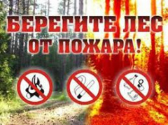 Информация для населения  о правилах пожарной безопасности в лесах   