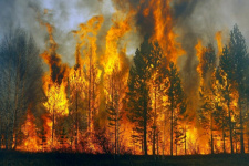 Информация для населения о правилах поведения вблизи очага пожара в лесу или на торфянике
