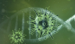 Информационный бюллетень по коронавирусу по состоянию на 26 марта