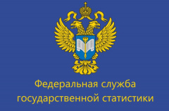 ВПН: пресс-конференция Владимирстата и администрации Владимирской области