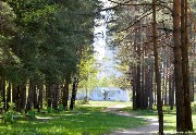 DSC_0388.JPG