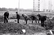 Участник фотоконкурса: А. П. Павлов. Субботник возле дома №35 1-го квартала, начало 80-х гг.