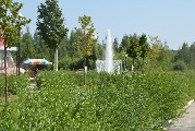 Городской фонтан