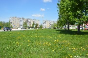 DSC_0438.JPG