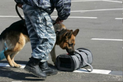 Памятка основных правил в целях обеспечения личной безопасности