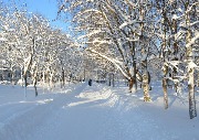 Виды города
