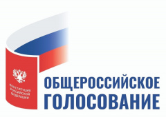 Общероссийское голосование 