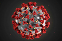 О СИТУАЦИИ по распространению заболеваний, вызванных COVID-19, на территории Владимирской области